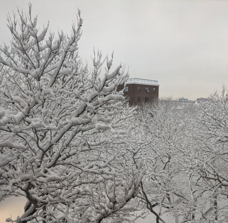 Warm And Toasty&nbsp;Inside